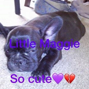 Meet your Posher, Bertie